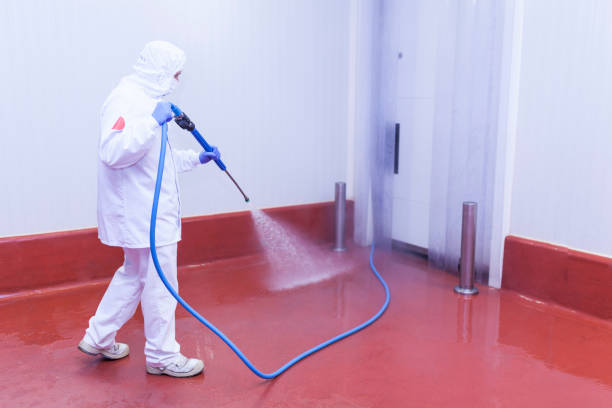 Best Rust and Stain Removal in St Anne, IL
